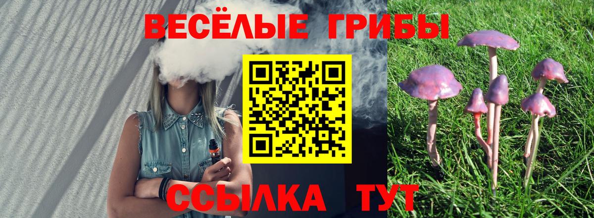 Галлюциногенные грибы MAGIC MUSHROOMS  Галлюциногенные грибы прущие грибы  Калининград  Вход с VPN 